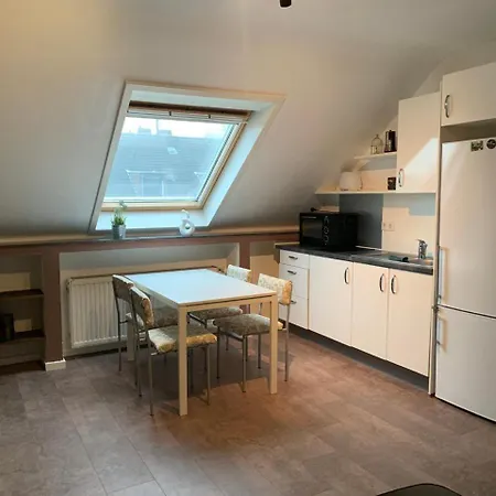Cozy Little Attic In Apartament